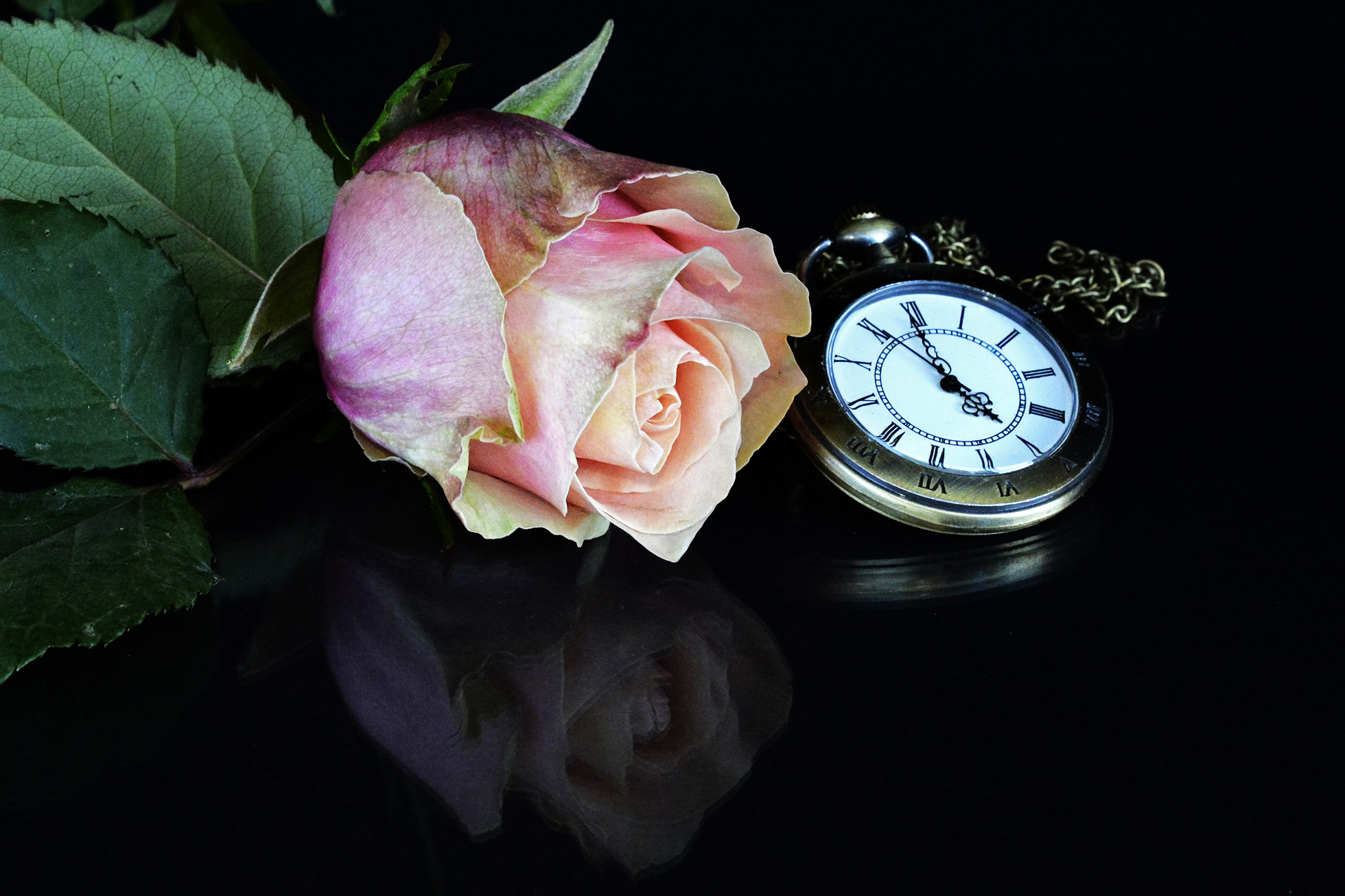 часы искусство роза красивое фото
